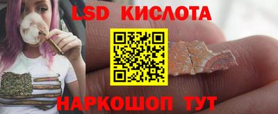 прущие грибы Комсомольск-на-Амуре