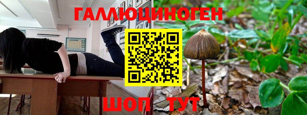 Галлюциногенные грибы мухоморы  дарнет шоп  Кстово  Вход с VPN 