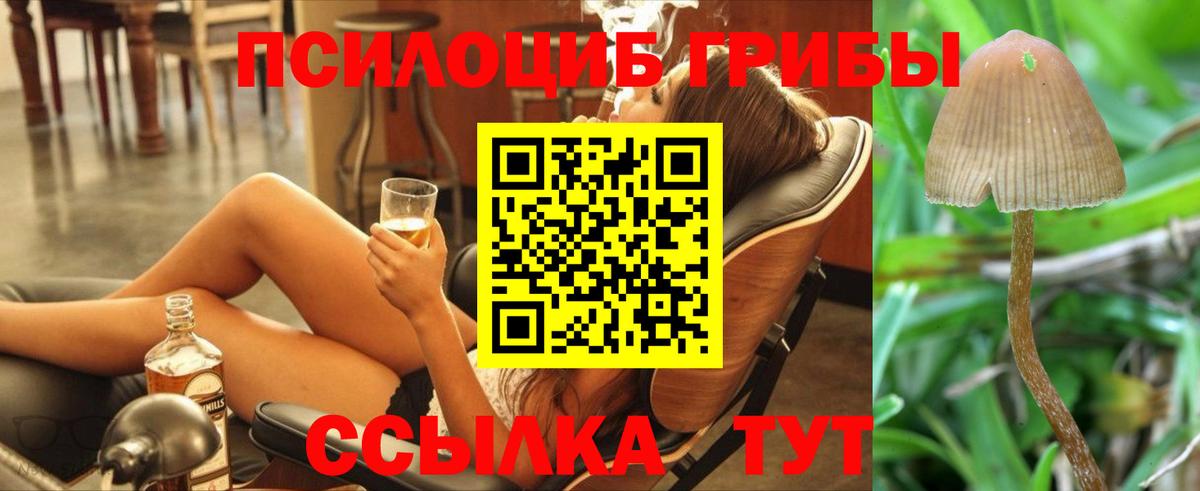 Галлюциногенные грибы прущие грибы Кстово